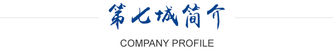 第七城公司簡介 第七城網(wǎng)絡